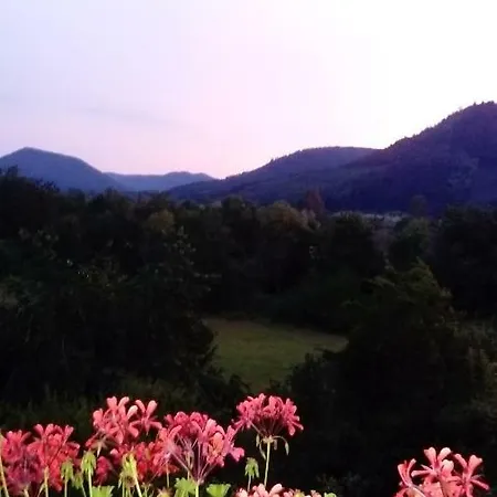Au Gre Des Sentiers Chez Marie Et Pierre Saint-Die-des-Vosges