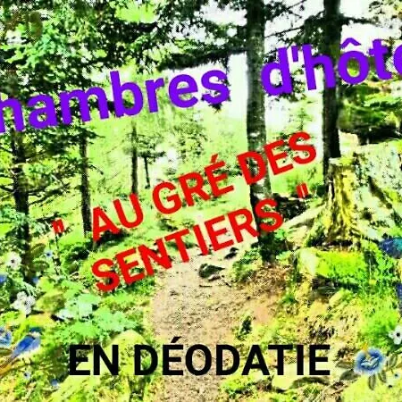 Au Gre Des Sentiers Chez Marie Et Pierre Bed & Breakfast Saint-Die-des-Vosges