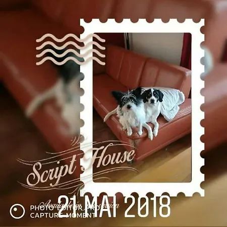 Au Gre Des Sentiers Chez Marie Et Pierre サン＝ディエ＝デ＝ヴォージュ